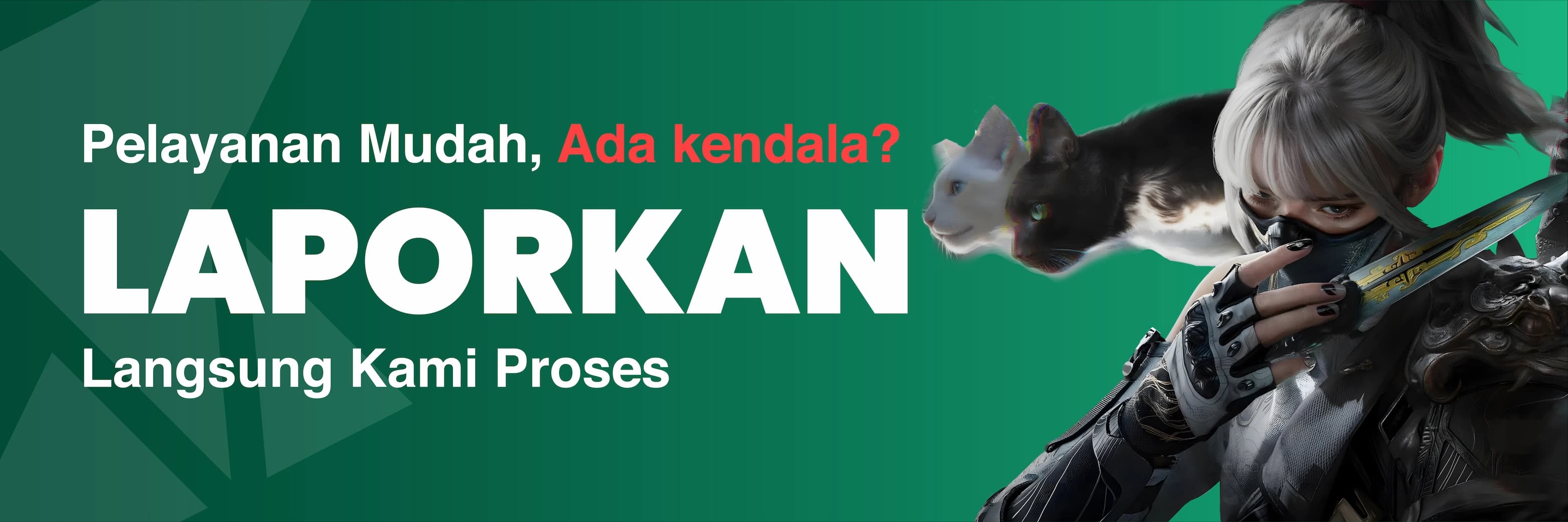 Banner promo